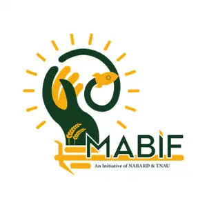 MABIF